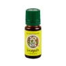 Juniper essential oil, 10 ml, Solaris