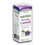 Etherische olie lavendel Maxima, 10 ml, Justin Pharma