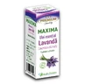 Olejek eteryczny Lavender Maxima, 10 ml, Justin Pharma