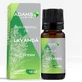 Ätherisches Lavendelöl, 10ml, innere Anwendung, Adams Vision