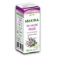 Huile essentielle de Menthe Maxima, 10 ml, Justin Pharma