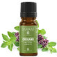 &#196;therisches Oregano&#246;l (M - 1229), 10 ml, Mayam