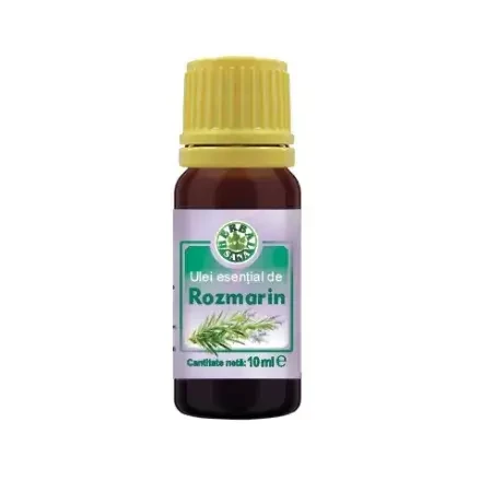 Rosemary essential oil 100% pure, 10 ml, Herbavit