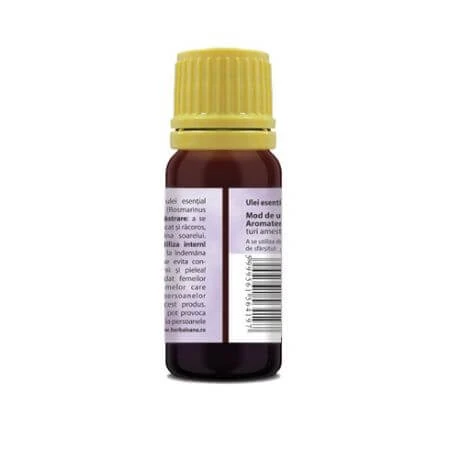 Rosemary essential oil 100% pure, 10 ml, Herbavit