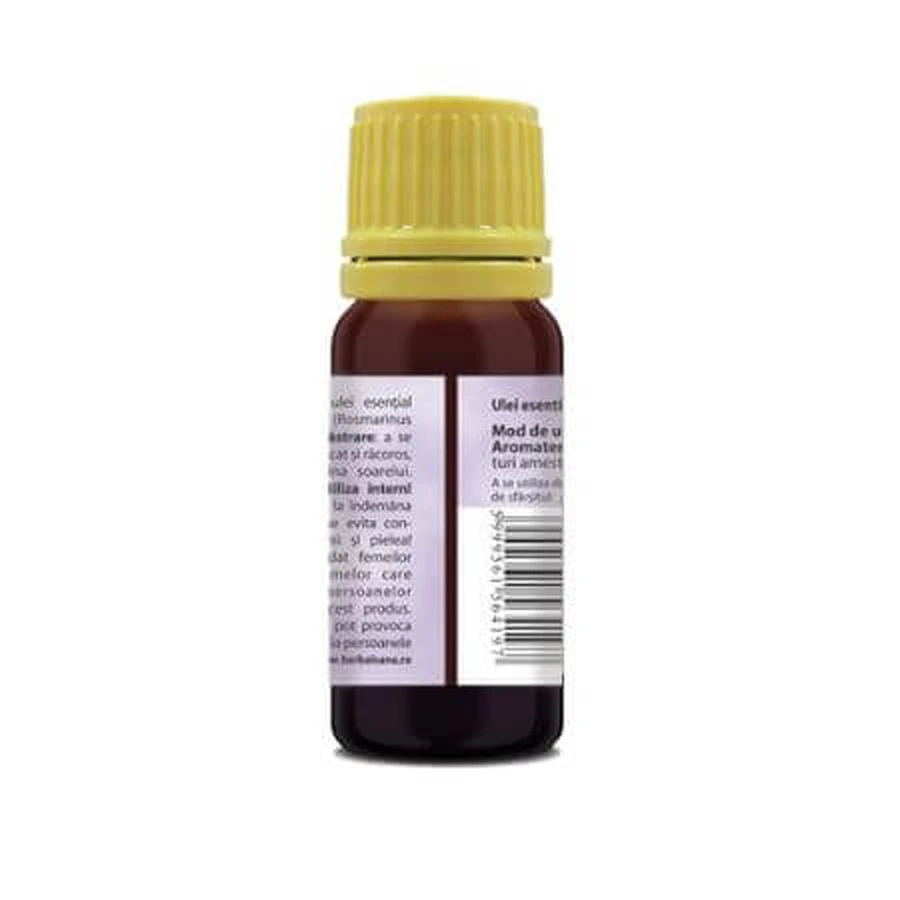 Rosemary essential oil 100% pure, 10 ml, Herbavit