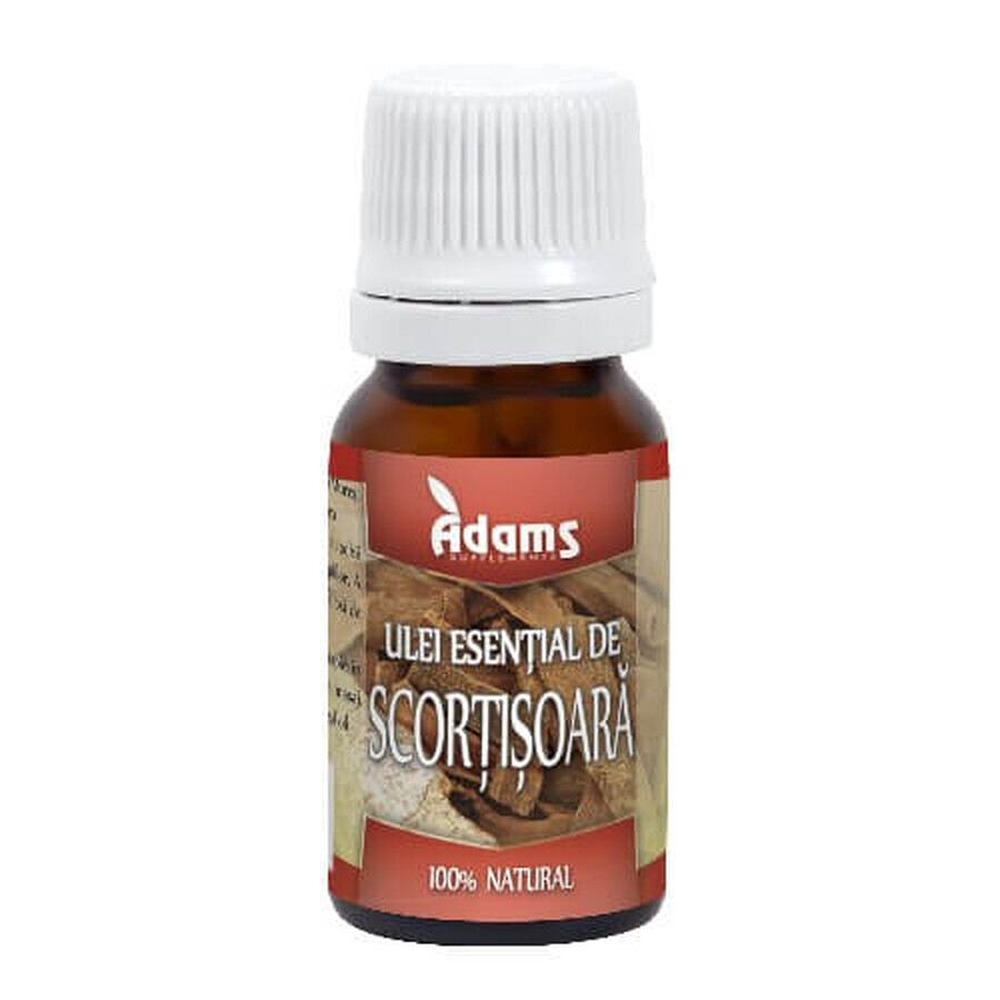 Cinnamon essential oil, 10 ml, Adams Vision
