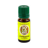 Cinnamon essential oil, 10 ml, Solaris