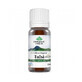 Tulsi &#196;therisches &#214;l, 10 ml, Bio Indien