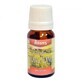 &#196;therisches Ylang-Ylang-&#214;l, 10 ml, Adams Vision