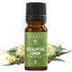 Essential oil eucalyptus citronate (M - 1326), 10 ml, Mayam