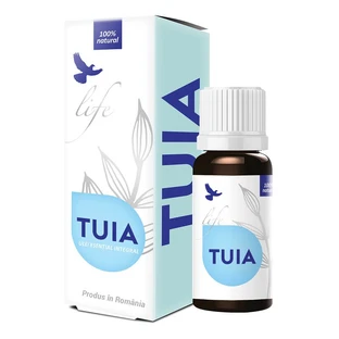 Thujone essential oil, 10 ml, Dvr Pharma