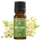 Litsea Cubeba ätherisches Öl (M - 1154), 10 ml, Mayam