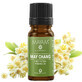 Litsea Cubeba essential oil (M - 1154), 10 ml, Mayam