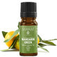 Essential oil Mandarin Green (M - 1158), 10 ml, Mayam