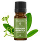 Ravensara essential oil (M - 1163), 10 ml, Mayam
