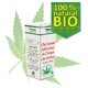 Hempmed Pharma
