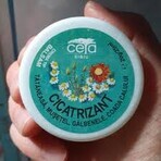 Genezende zalf, 40 g, Ceta Sibiu