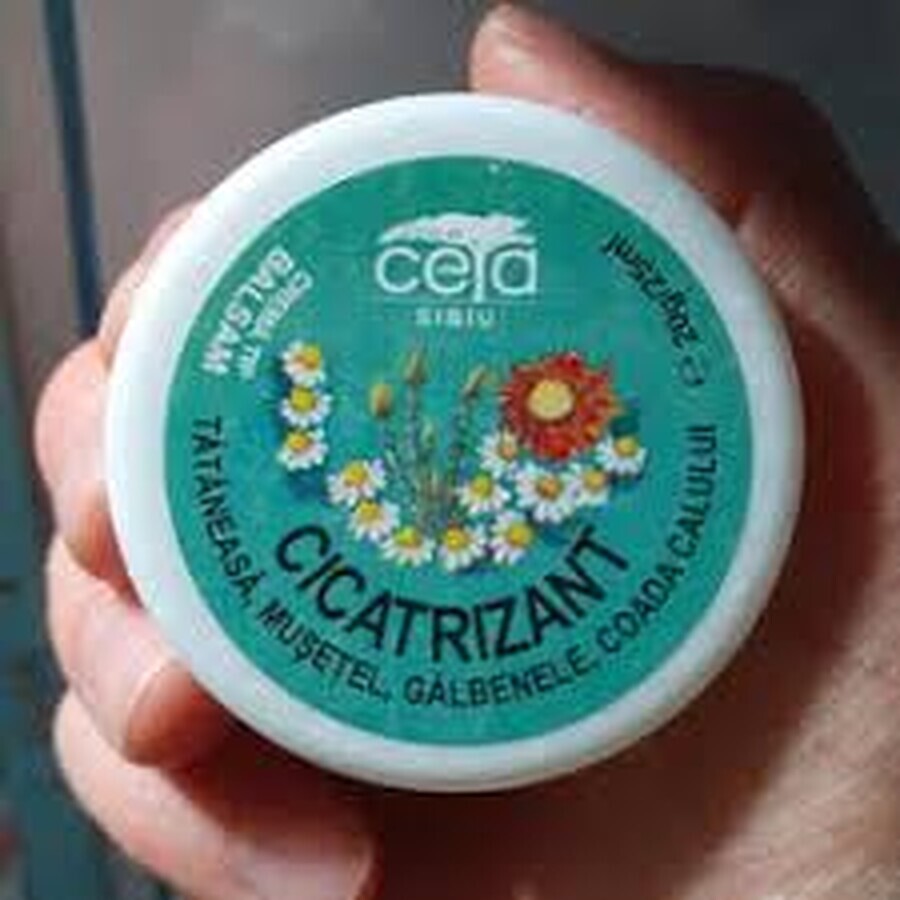 Genezende zalf, 40 g, Ceta Sibiu