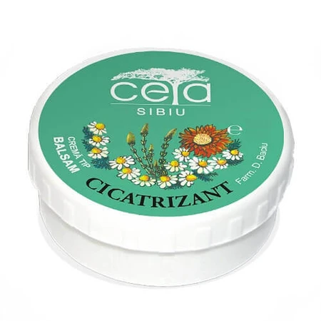 Healing ointment, 40 g, Ceta Sibiu