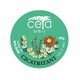 Ceta Sibiu