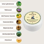 Pommade rhumatismale Beurre de terre et Tataneasa, 100ml, Plante Faunus