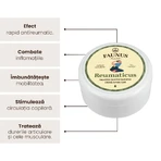Pommade rhumatismale Beurre de terre et Tataneasa, 100ml, Plante Faunus