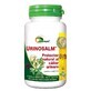 Urinosalm, 50 tablets, Ayurmed