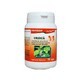 Nettle, 70 capsules, Favisan