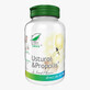 Garlic &amp;amp; propolis, 60 capsules, Pro Natura