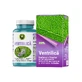 Ventrilica, 60 capsules, Hypericum