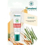 Balsam cu ulei de morcov și germeni de grâu pentru buze, 10 g, Himalaya