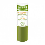 Bio repairing and nourishing lip balm with mango butter, 4 g, Cattier
