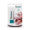 Lip balm with cocoa butter, 4.5 g, Himalaya
