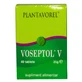 Voseptol V, 40 Tabletten, Plantavorel