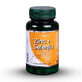 Zinc, Selenium with Natural Vitamin C, 60 capsules, DVR Pharm