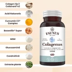 Colágeno tipo 2 para articulaciones, huesos, piel y cabello Colagenus, 60 cápsulas, Faunus Plant