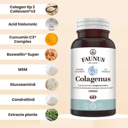 Colágeno tipo 2 para articulaciones, huesos, piel y cabello Colagenus, 60 cápsulas, Faunus Plant