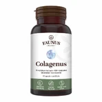 Collagen type 2 for joints, bones, skin and hair Colagenus, 60 capsules, Faunus Plant