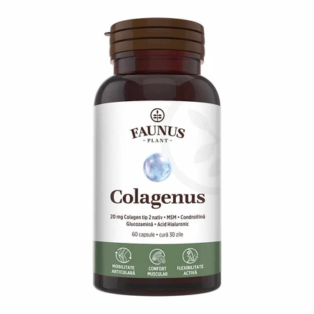 Collagen type 2 for joints, bones, skin and hair Colagenus, 60 capsules, Faunus Plant