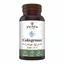 Collagen type 2 for joints, bones, skin and hair Colagenus, 60 capsules, Faunus Plant