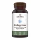Collagen type 2 for joints, bones, skin and hair Colagenus, 60 capsules, Faunus Plant