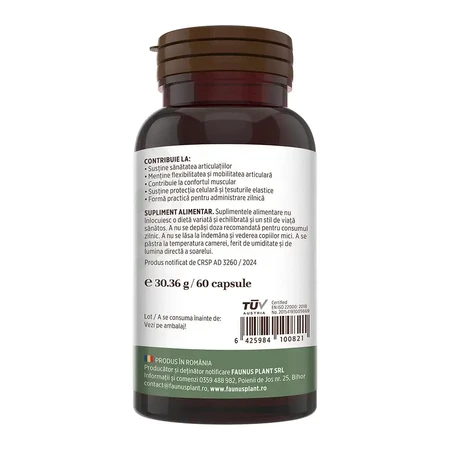 Collagen type 2 for joints, bones, skin and hair Colagenus, 60 capsules, Faunus Plant