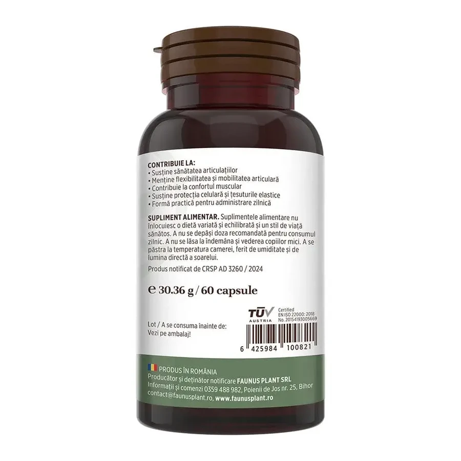 Collagen type 2 for joints, bones, skin and hair Colagenus, 60 capsules, Faunus Plant