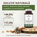 Collagen type 2 for joints, bones, skin and hair Colagenus, 60 capsules, Faunus Plant