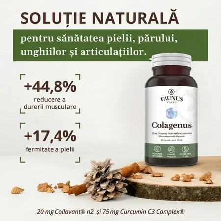 Collagen type 2 for joints, bones, skin and hair Colagenus, 60 capsules, Faunus Plant