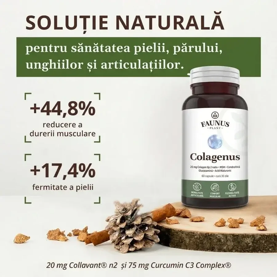 Collagen type 2 for joints, bones, skin and hair Colagenus, 60 capsules, Faunus Plant