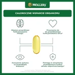 Möller's Fish Oil Forte Omega-3, 112 capsules