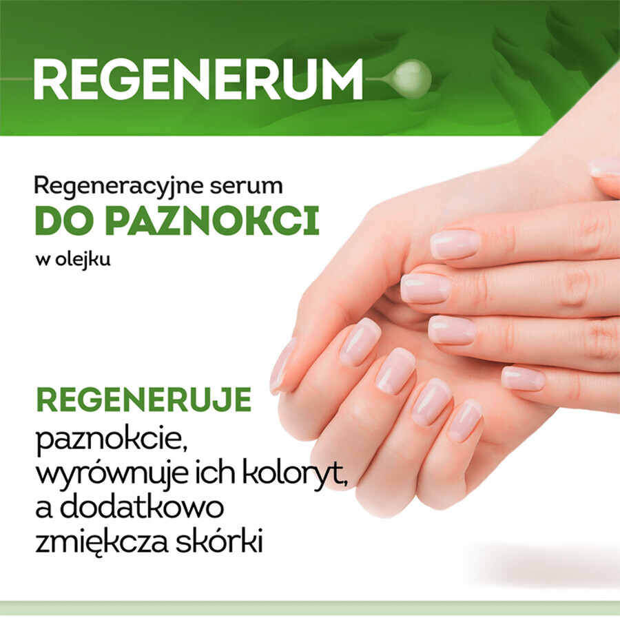 Buy Regenerum, Nail regeneration serum, 5 ml Regenerum, Nail regeneration serum, 5 ml