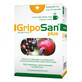 Griposan Plus, 2 g x 10 sachets