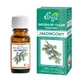 Etja, natural juniper essential oil, 10 ml